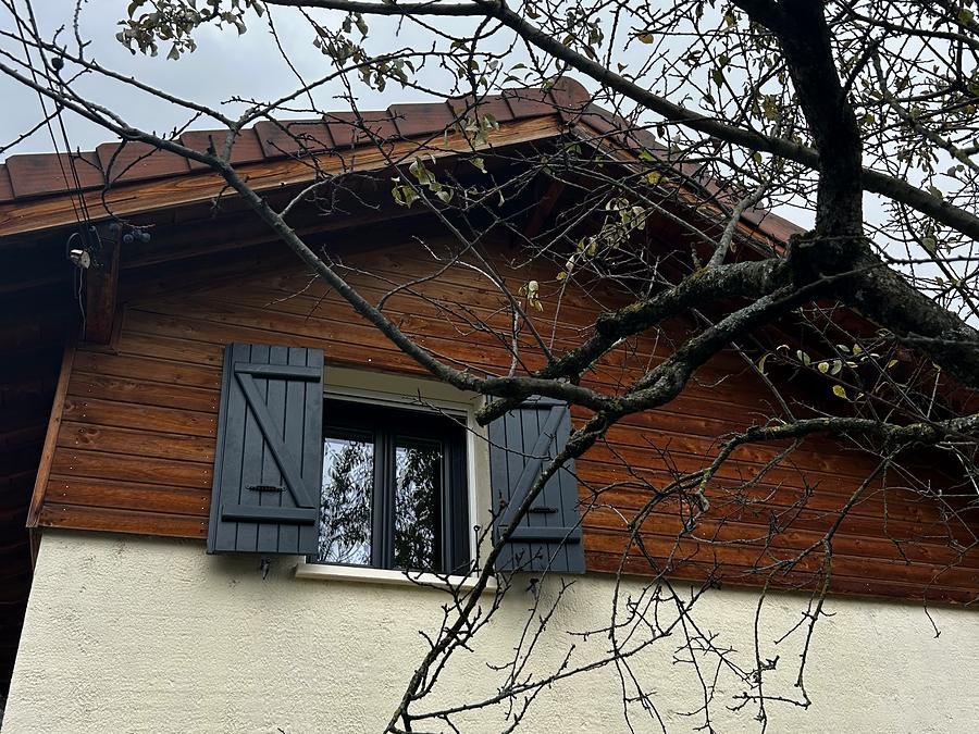 Branches d'arbre au-dessus du toit d'une maison