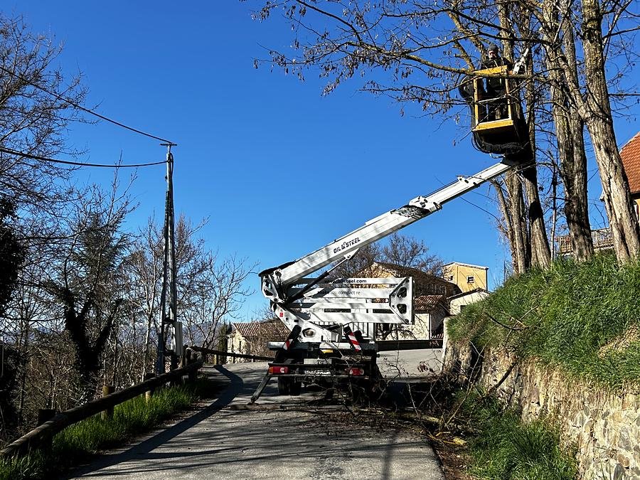Camion nacelle au bord d'une route pour travailler sur de grands arbres