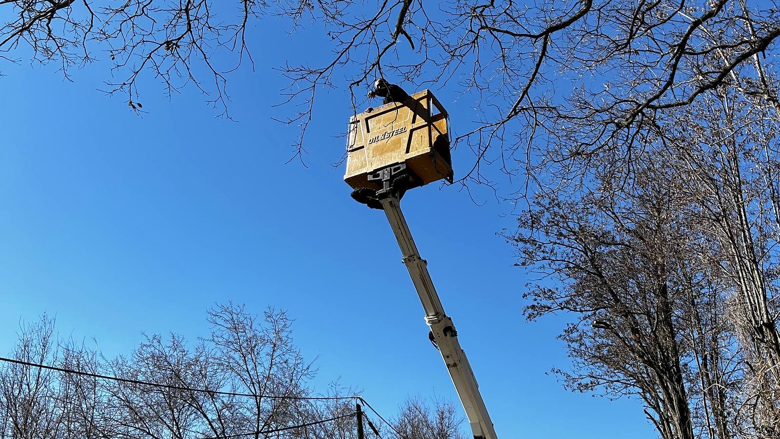 Camion nacelle déployé vers les arbres